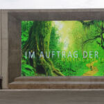 Wandmalerei Airbrush Saarland Wandbilder