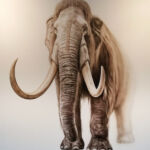 Airbrush Wandbemalung Wandbilder